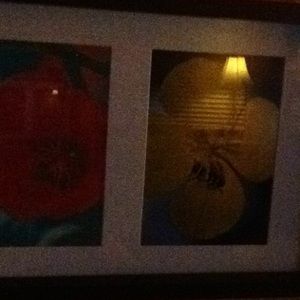 Meet your Posher, Nichole